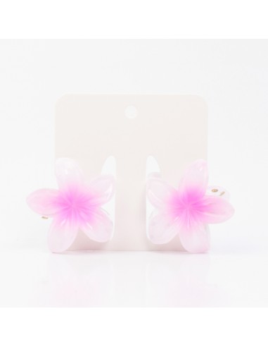 Broche Set x2 Mini Hawaiana