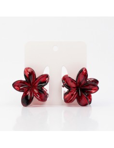 Broche Set x2 Mini Hawaiana