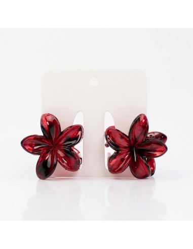 Broche Set x2 Mini Hawaiana