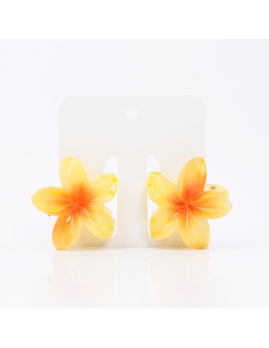Broche Set x2 Mini Hawaiana