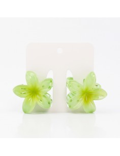 Broche Set x2 Mini Hawaiana
