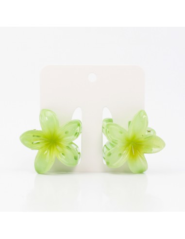 Broche Set x2 Mini Hawaiana