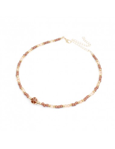 Collar Color New Flower