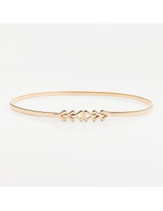 Cinturón Elastizado Holly Gold