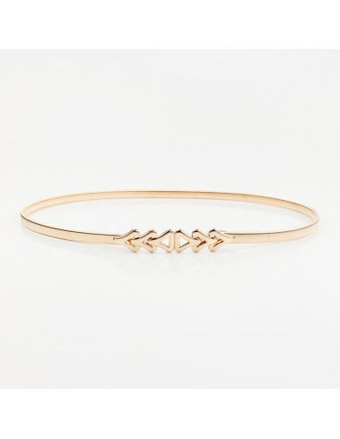 Cinturón Elastizado Holly Gold