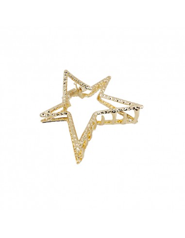 Broche Metal Star Gold