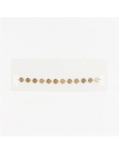 Choker de Cdena Flowers Gold Chain