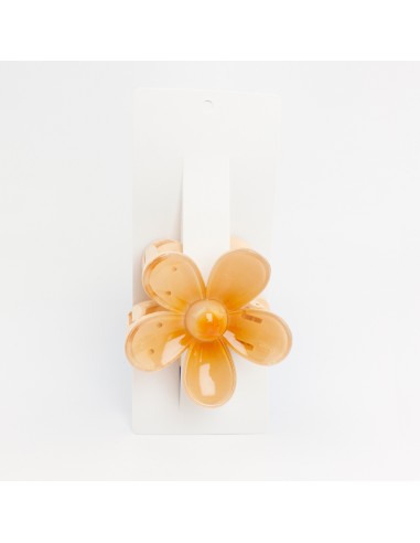 Broche Colored Daisy