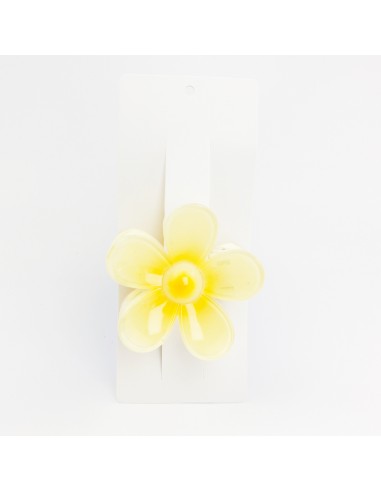 Broche Colored Daisy