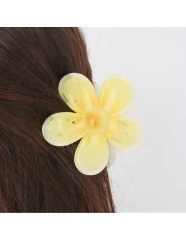 Broche Colored Daisy