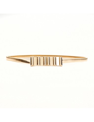 Cinturón Elastizado Linear Gold
