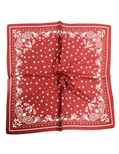 Pañuelo Paisley | Venta mayorista – Infinita