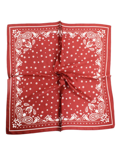 Pañuelo Paisley | Venta mayorista – Infinita