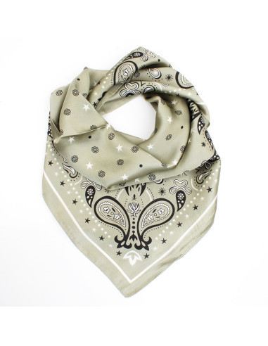 Pañuelo Paisley | Venta mayorista – Infinita