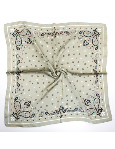 Pañuelo Paisley | Venta mayorista – Infinita