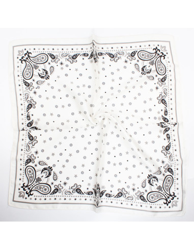 Pañuelo Paisley | Venta mayorista – Infinita