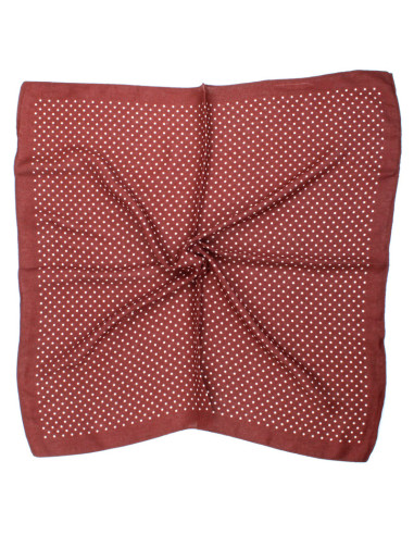 Pañuelo Paisley | Venta mayorista – Infinita