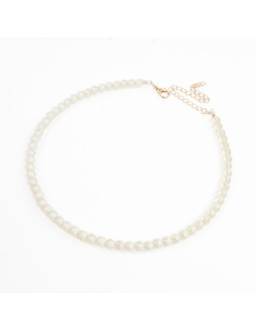 Collar Energy Tigers