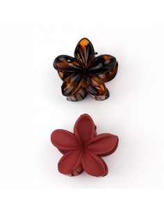 Broche Set x 2 Hawaii Winter