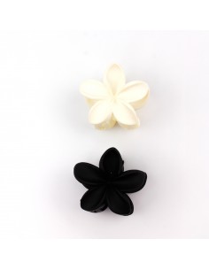 Broche Set x 2 Hawaii Winter