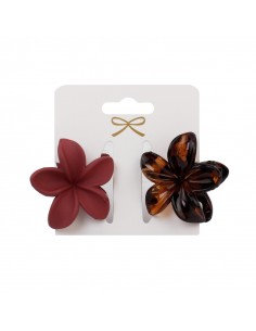 Broche Set x 2 Hawaii Winter