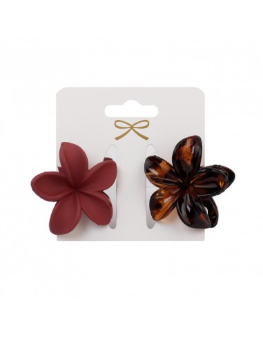 Broche Set x 2 Hawaii Winter