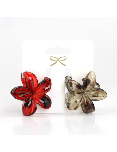 Broche Set x 2 Hawaii Winter