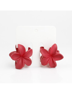 Broche Set x 2 Hawaii