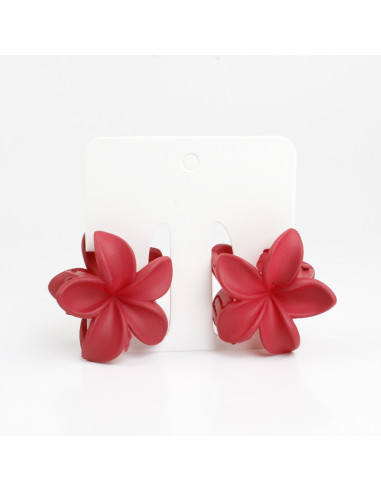 Broche Set x 2 Hawaii