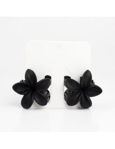 Broche Set x 2 Hawaii