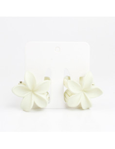 Broche Set x 2 Hawaii