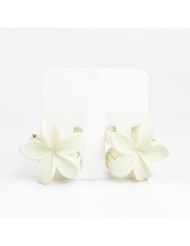 Broche Set x 2 Hawaii