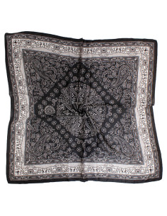 Pañuelo XXL Paisley  Frame